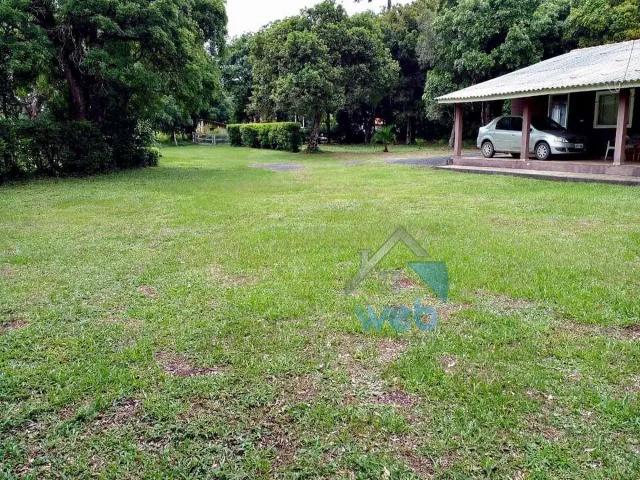 Sítio / Chácara para Venda em São João do Triunfo/PR Palmira 3 Quartos