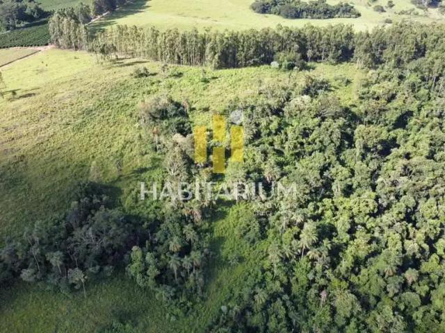 Sítio / Chácara para Venda em São João da Boa Vista/SP Área Rural de São João da Boa Vista