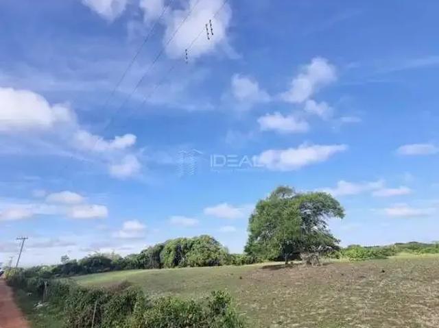 Sítio / Chácara para Venda em São João da Barra/RJ Chatuba