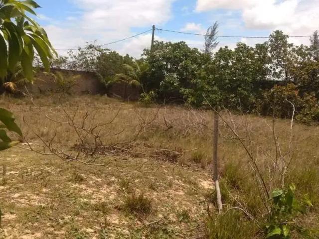 Sítio / Chácara para Venda em São João da Barra/RJ Chapéu do Sol