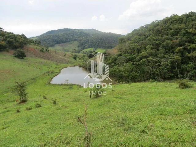 Sítio / Chácara para Venda em São João Nepomuceno/MG Alto dos Pinheiros 2 Quartos