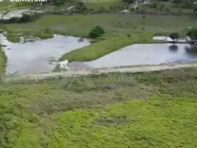 Sítio / Chácara para Venda em São Joaquim do Monte/PE Centro 3 Quartos
