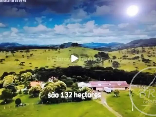 Sítio / Chácara para Venda em São Joaquim/SC Zona Rural