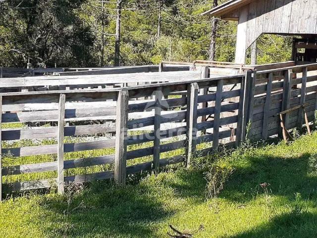 Sítio / Chácara para Venda em São Joaquim/SC Centro 3 Quartos