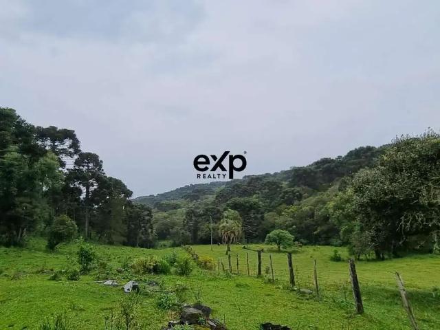 Sítio / Chácara para Venda em São José do Cerrito/SC Passo Fundo 1 Quartos