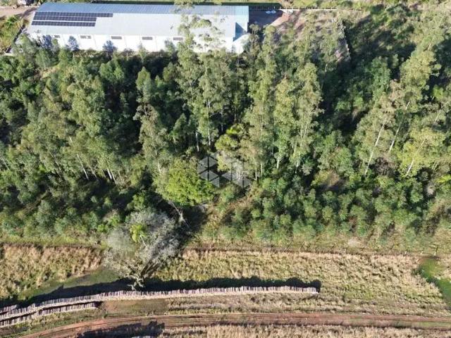 Sítio / Chácara para Venda em São José do Hortêncio/RS Campestre