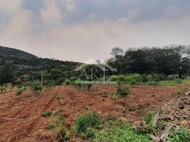 Sítio / Chácara para Venda em São José do Hortêncio/RS Zona Rural 1 Quartos