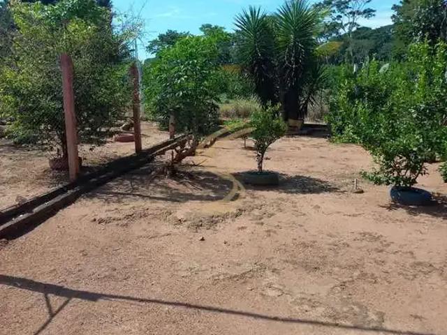 Sítio / Chácara para Venda em São José do Rio Pardo/SP Sítio Novo 4 Quartos