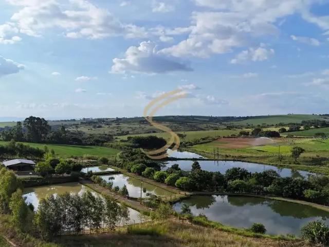 Sítio / Chácara para Venda em São José do Rio Pardo/SP Zona Rural 6 Quartos