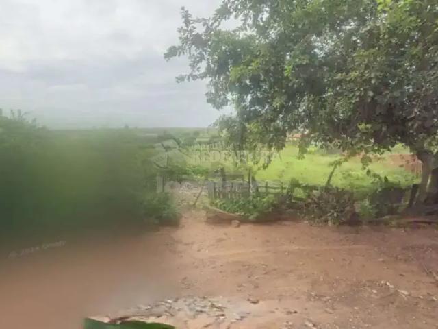 Sítio / Chácara para Venda em São José do Rio Preto/SP Estância Chácara Primavera Zona Rural