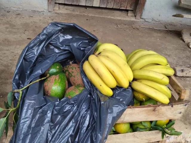 Sítio / Chácara para Venda em São José dos Campos/SP Capuava 1 Quartos