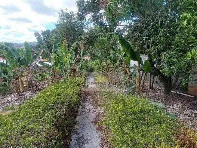 Sítio / Chácara para Venda em São José dos Campos/SP Jardim Torrão de Ouro 2 Quartos