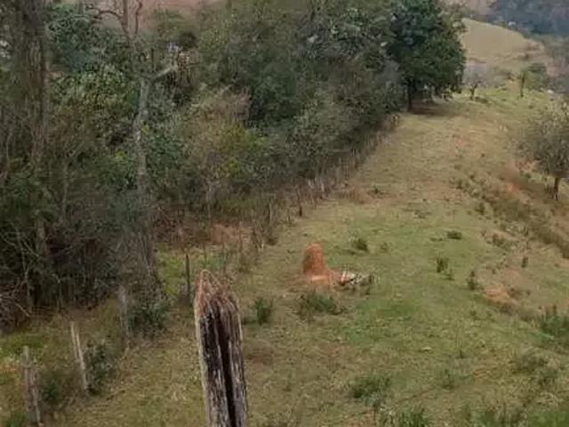 Sítio / Chácara para Venda em São José dos Campos/SP Santana