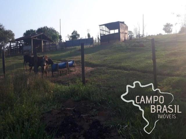 Sítio / Chácara para Venda em São José dos Campos/SP Santana 3 Quartos