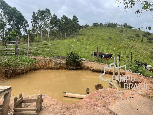 Sítio / Chácara para Venda em São José dos Campos/SP Santana 3 Quartos