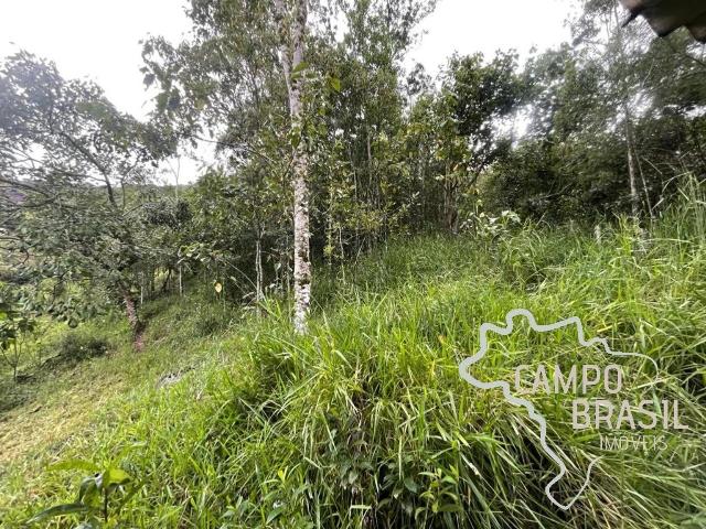 Sítio / Chácara para Venda em São José dos Campos/SP Santana 2 Quartos