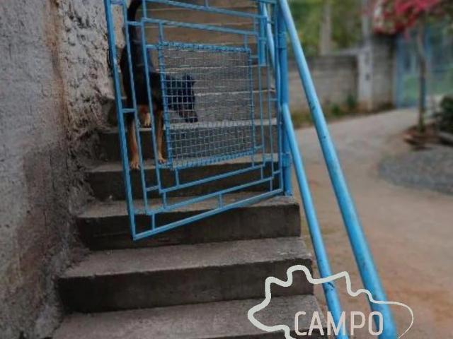 Sítio / Chácara para Venda em São José dos Campos/SP Santana 5 Quartos