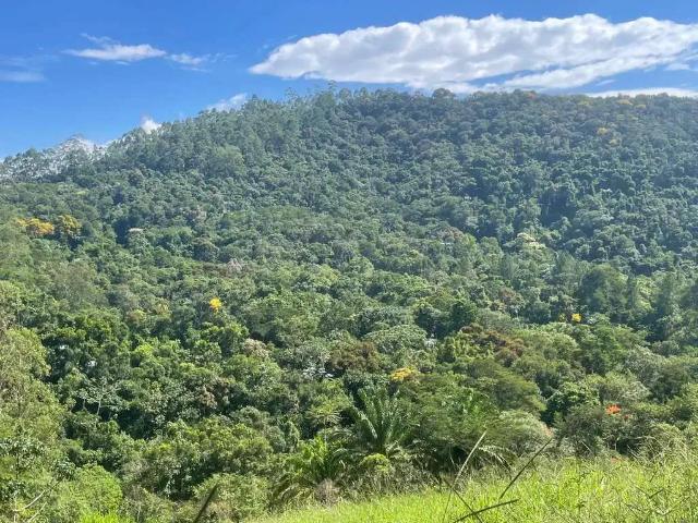 Sítio / Chácara para Venda em São José dos Campos/SP Turvo