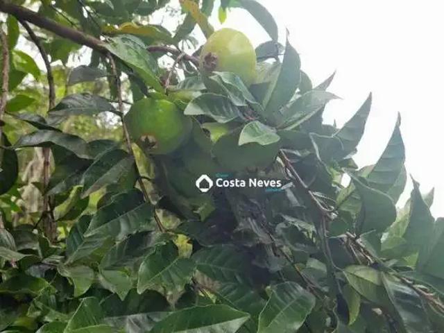 Sítio / Chácara para Venda em São José dos Campos/SP Vila Maria 2 Quartos
