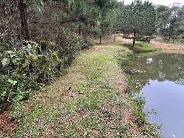 Sítio / Chácara para Venda em São José dos Pinhais/PR Zona Rural