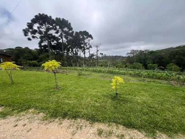 Sítio / Chácara para Venda em São José dos Pinhais/PR Zona Rural 2 Quartos