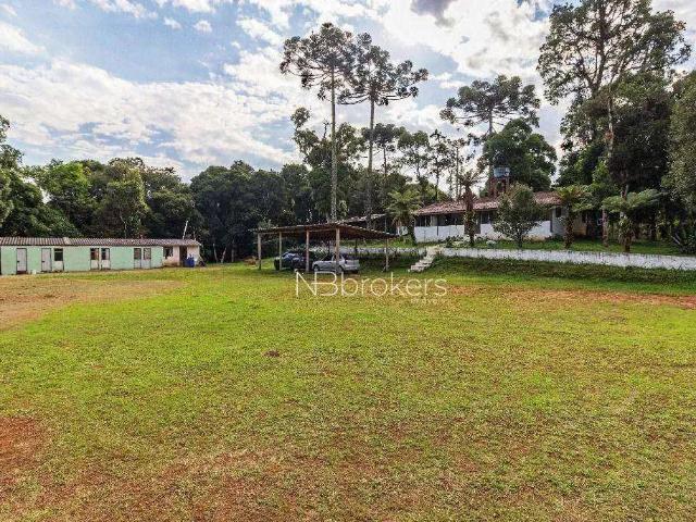 Sítio / Chácara para Venda em São José dos Pinhais/PR Zona Rural 3 Quartos