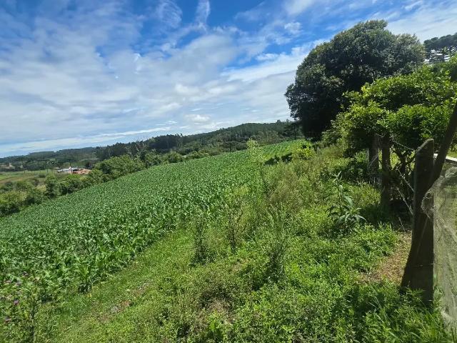 Sítio / Chácara para Venda em São José dos Pinhais/PR Zona Rural 3 Quartos