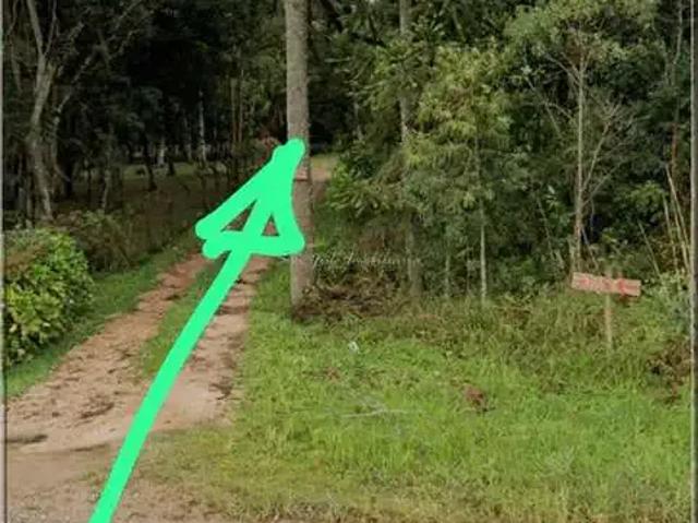 Sítio / Chácara para Venda em São José dos Pinhais/PR Zona Rural