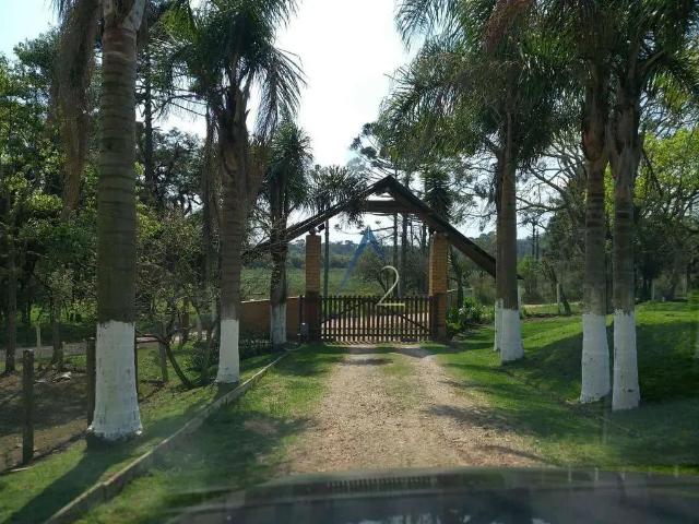 Sítio / Chácara para Venda em São José dos Pinhais/PR Zona Rural 5 Quartos