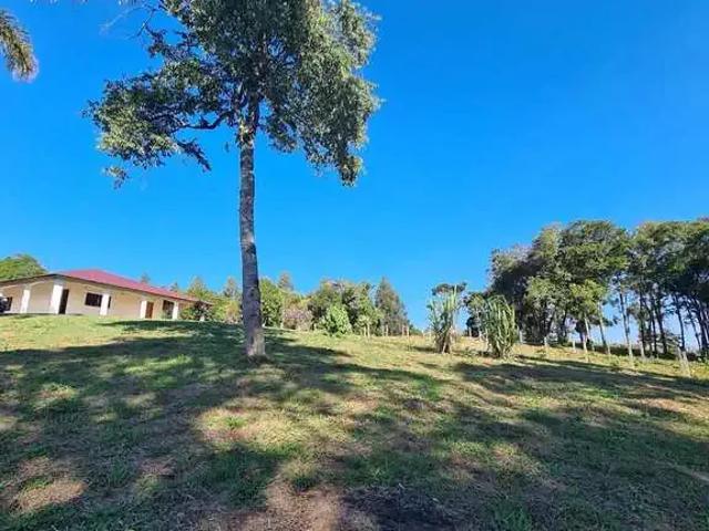 Sítio / Chácara para Venda em São José dos Pinhais/PR Área Rural de São José dos Pinhais 2 Quartos