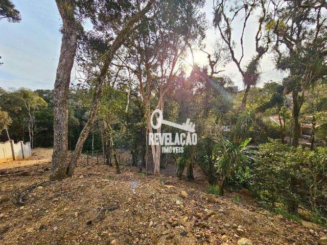 Sítio / Chácara para Venda em São José dos Pinhais/PR Barro Preto