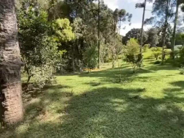Sítio / Chácara para Venda em São José dos Pinhais/PR Borda do Campo 4 Quartos
