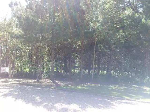 Sítio / Chácara para Venda em São José dos Pinhais/PR Borda do Campo