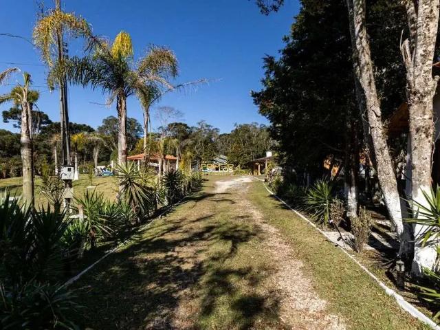 Sítio / Chácara para Venda em São José dos Pinhais/PR Borda do Campo 2 Quartos