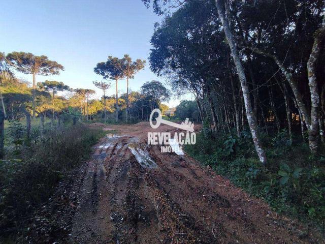 Sítio / Chácara para Venda em São José dos Pinhais/PR Borda do Campo