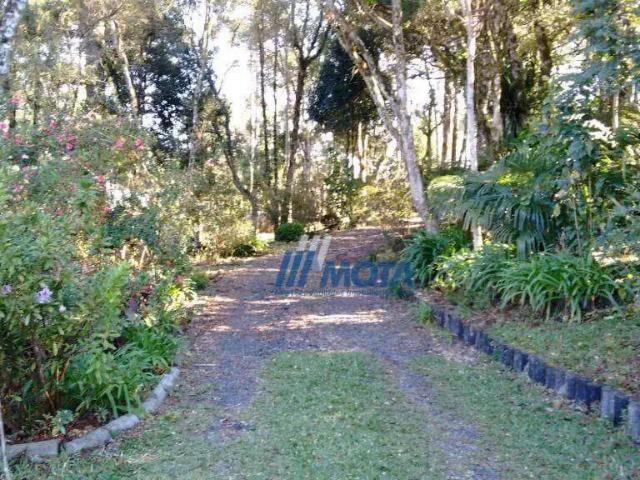 Sítio / Chácara para Venda em São José dos Pinhais/PR Borda do Campo 3 Quartos