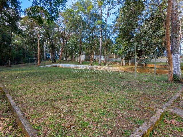 Sítio / Chácara para Venda em São José dos Pinhais/PR Borda do Campo 3 Quartos