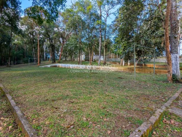 Sítio / Chácara para Venda em São José dos Pinhais/PR Borda do Campo 3 Quartos