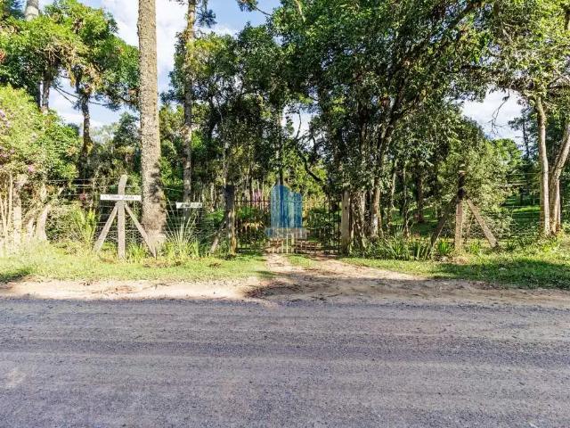 Sítio / Chácara para Venda em São José dos Pinhais/PR Borda do Campo 3 Quartos