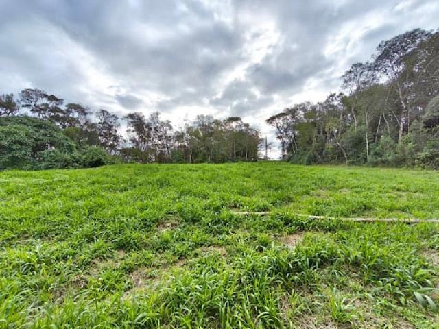 Sítio / Chácara para Venda em São José dos Pinhais/PR Campestre da Faxina 1 Quartos