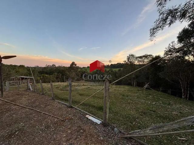 Sítio / Chácara para Venda em São José dos Pinhais/PR Campestre da Faxina 2 Quartos