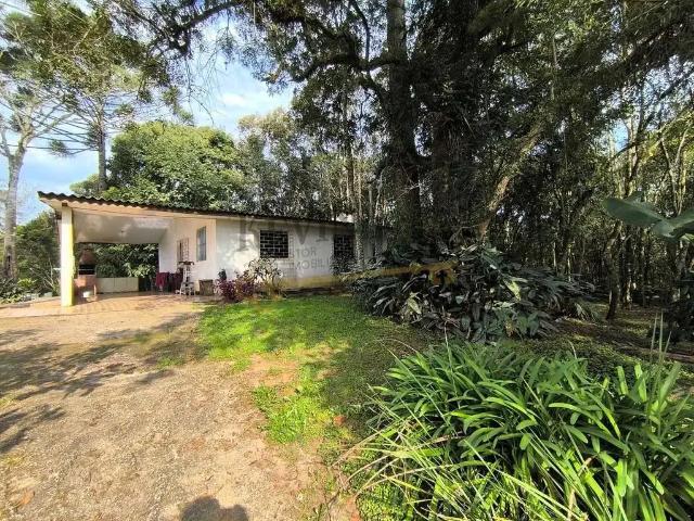 Sítio / Chácara para Venda em São José dos Pinhais/PR Campina do Taquaral