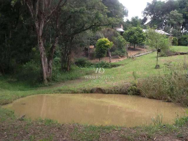 Sítio / Chácara para Venda em São José dos Pinhais/PR Campina do Taquaral