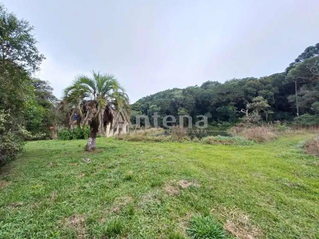 Sítio / Chácara para Venda em São José dos Pinhais/PR Campo Largo da Roseira
