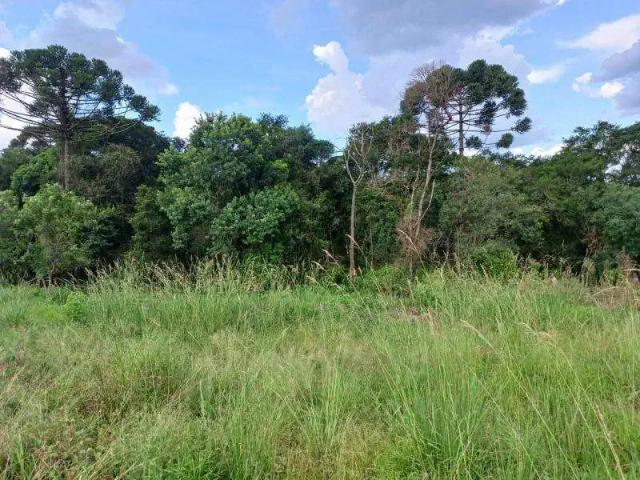 Sítio / Chácara para Venda em São José dos Pinhais/PR Campo Largo da Roseira 1 Quartos