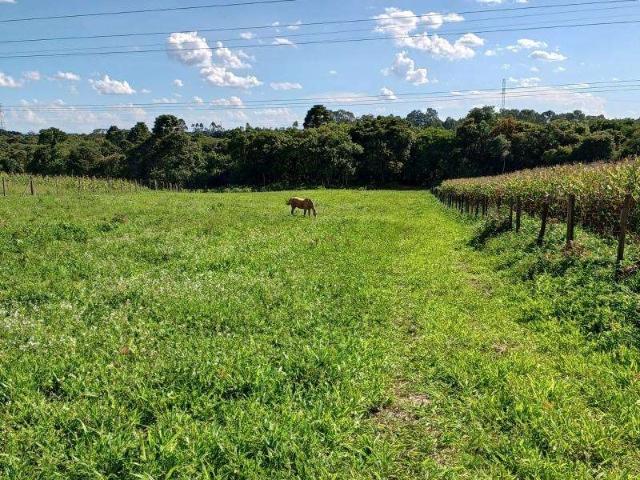 Sítio / Chácara para Venda em São José dos Pinhais/PR Campo Largo da Roseira 1 Quartos