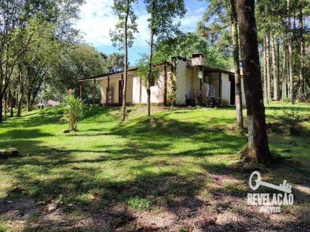Sítio / Chácara para Venda em São José dos Pinhais/PR Campo Largo da Roseira 2 Quartos