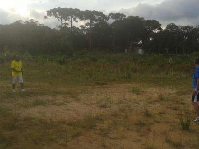 Sítio / Chácara para Venda em São José dos Pinhais/PR Campo Largo da Roseira
