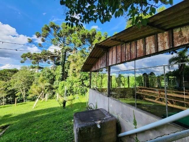 Sítio / Chácara para Venda em São José dos Pinhais/PR Campo Largo da Roseira 3 Quartos