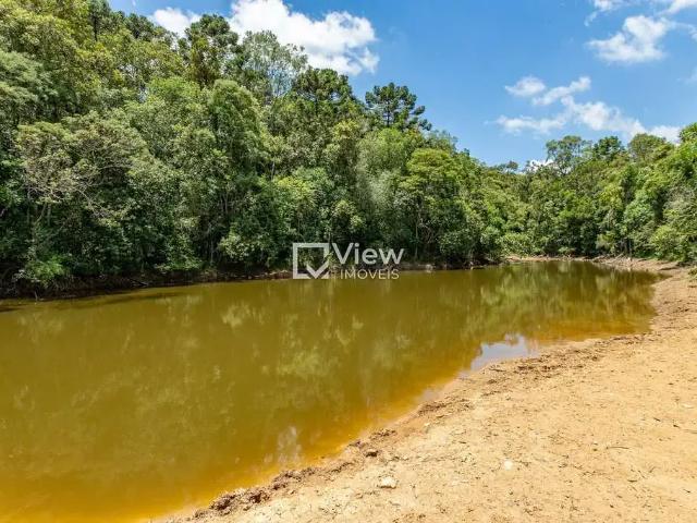 Sítio / Chácara para Venda em São José dos Pinhais/PR Campo Largo da Roseira